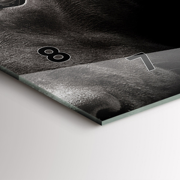 Horloge rectangulaire horizontale Chien et chat Scottish Fold