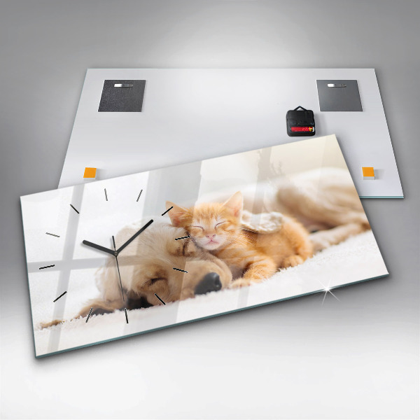 Horloge murale horizontale Chat et chien endormis