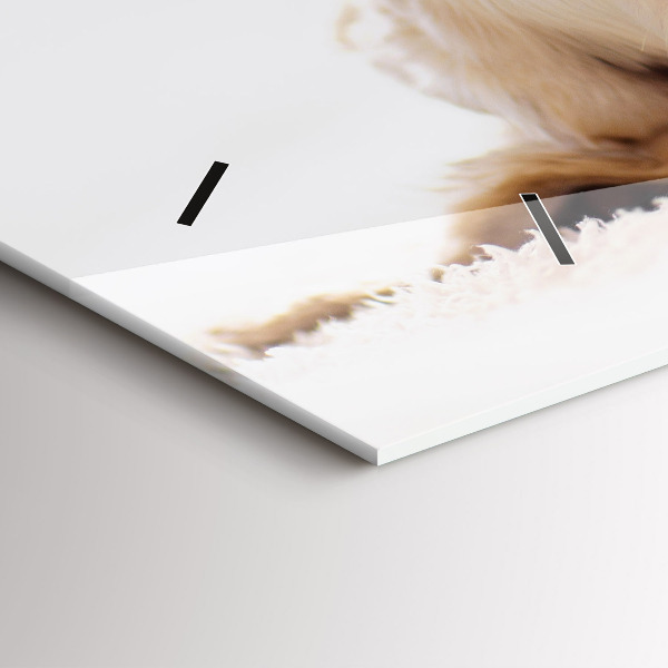 Horloge murale horizontale Chat et chien endormis