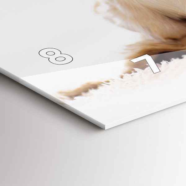 Horloge murale horizontale Chat et chien endormis