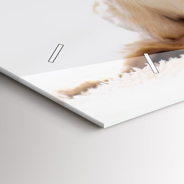 Horloge murale horizontale Chat et chien endormis