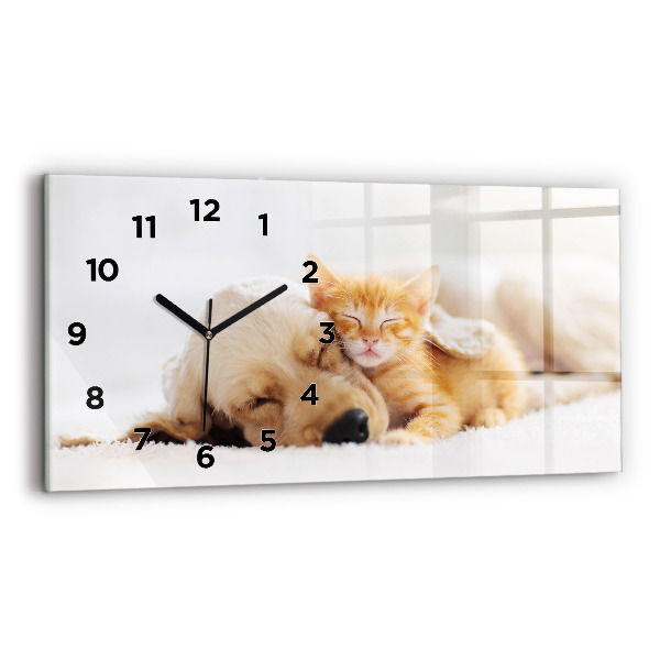 Horloge murale horizontale Chat et chien endormis