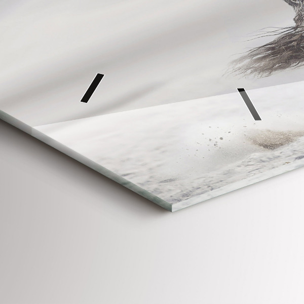 Horloge rectangulaire horizontale Cheval blanc au galop