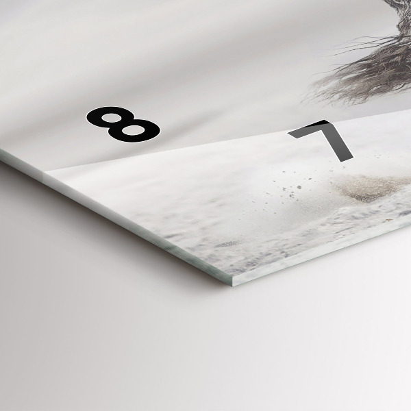 Horloge rectangulaire horizontale Cheval blanc au galop