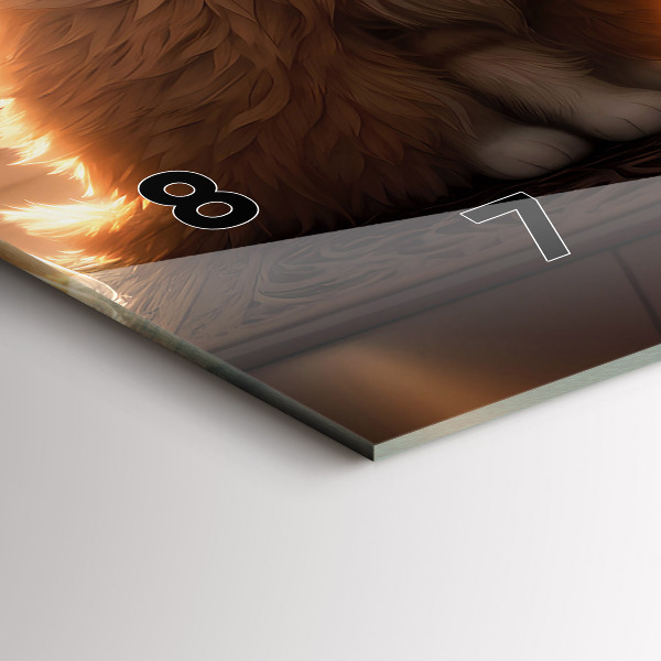 Horloge murale horizontale Quatre chatons au soleil