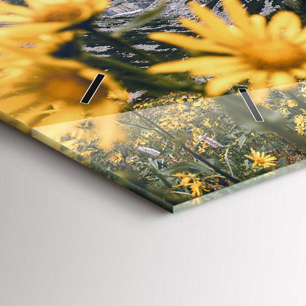 Horloge murale horizontale Fleurs des prés dans les montagnes