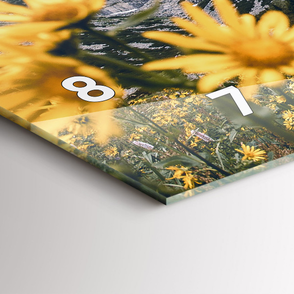 Horloge murale horizontale Fleurs des prés dans les montagnes