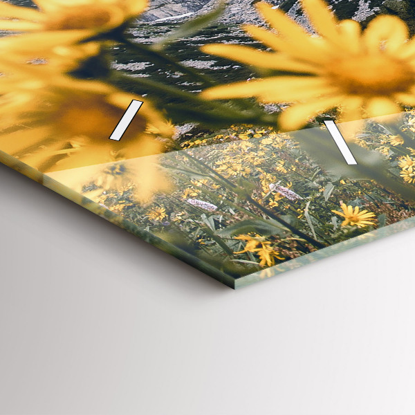 Horloge murale horizontale Fleurs des prés dans les montagnes