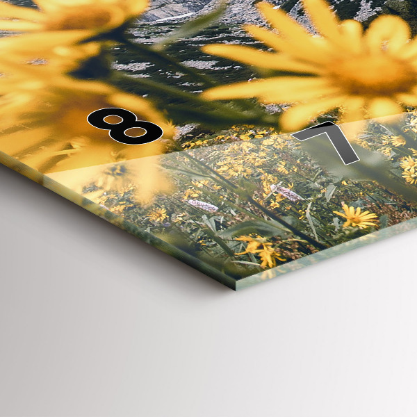 Horloge murale horizontale Fleurs des prés dans les montagnes