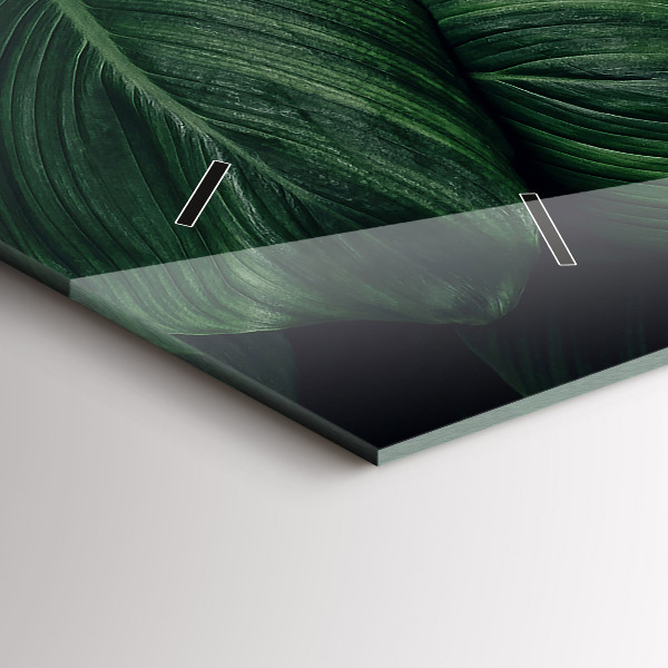 Horloge murale horizontale Monstera tropical