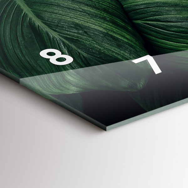 Horloge murale horizontale Monstera tropical