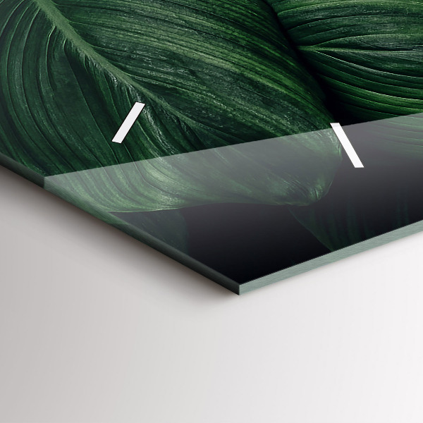 Horloge murale horizontale Monstera tropical