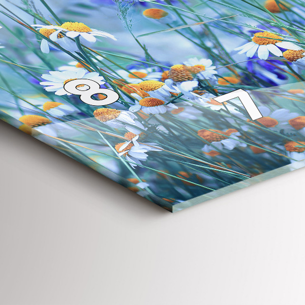 Horloge rectangulaire horizontale Papillon dans la prairie