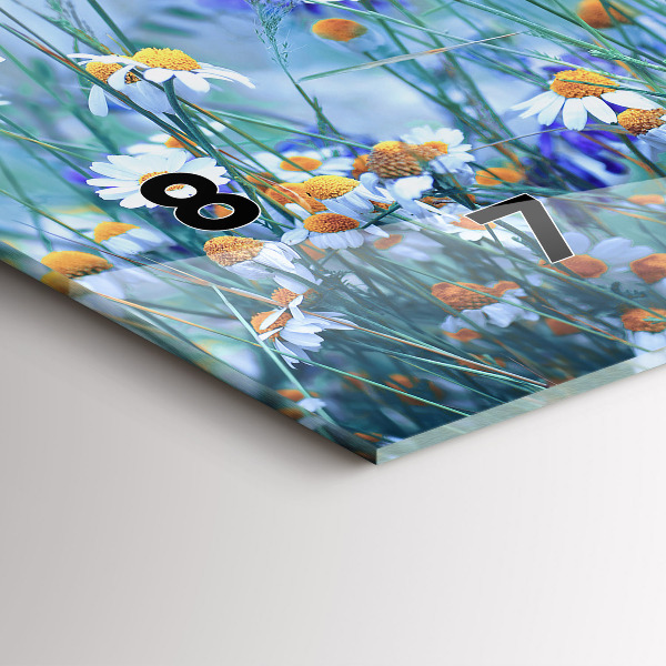 Horloge rectangulaire horizontale Papillon dans la prairie