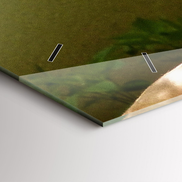 Horloge murale horizontale 'Portrait d''un lion'