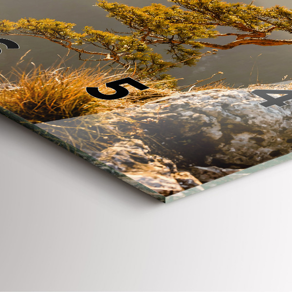 Horloge murale carrée Un arbre dans les montagnes