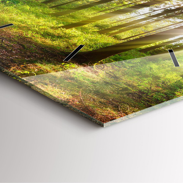 Pendule carrée en verre Lever de soleil dans la forêt