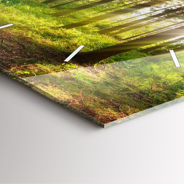 Pendule carrée en verre Lever de soleil dans la forêt