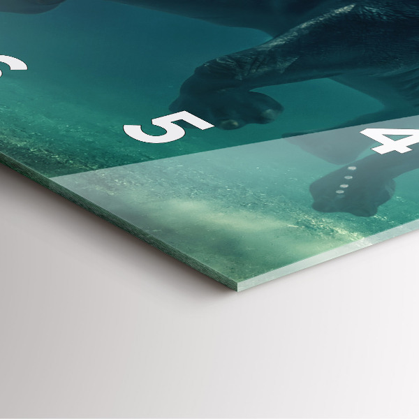 Pendule carrée en verre 'Éléphant nageant dans l''océan'