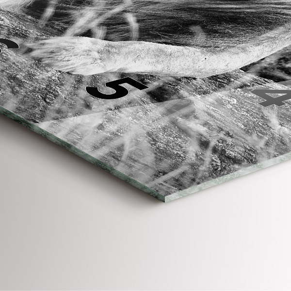 Horloge carrée en verre Abstraction - Lion