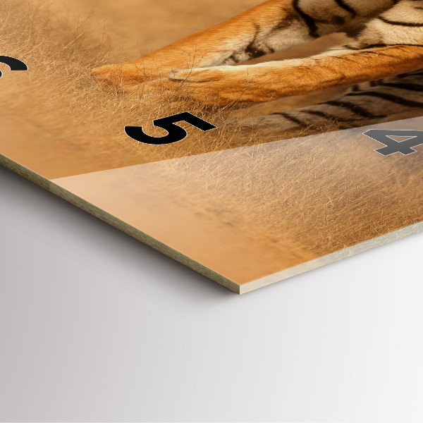 Horloge carrée en verre Chasse au tigre