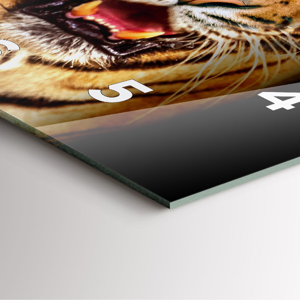 Pendule carrée en verre Tigre - regard sauvage