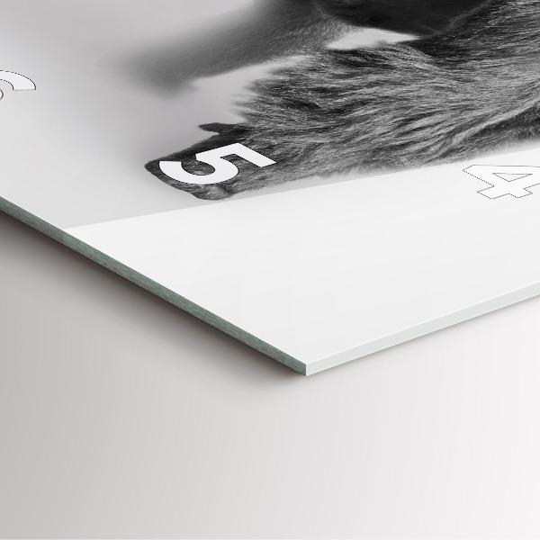 Pendule carrée en verre 'Collection d''art animalier'