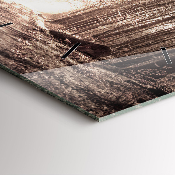 Horloge murale carrée Chemin forestier en sépia