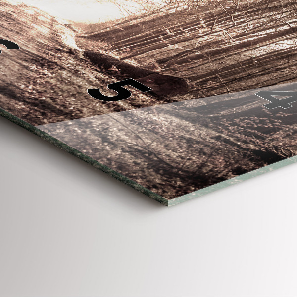 Horloge murale carrée Chemin forestier en sépia