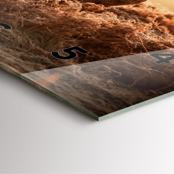 Horloge murale carrée Cerf au lever du soleil