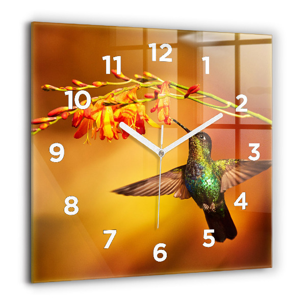 Horloge murale carrée oiseau colibri