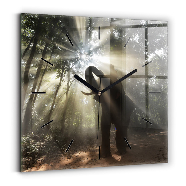 Horloge murale carrée Éléphant dans la jungle