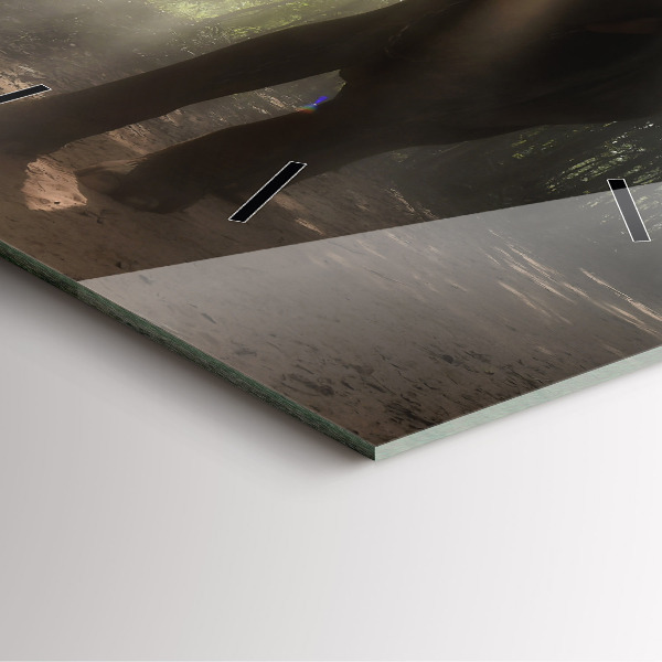 Horloge murale carrée Éléphant dans la jungle