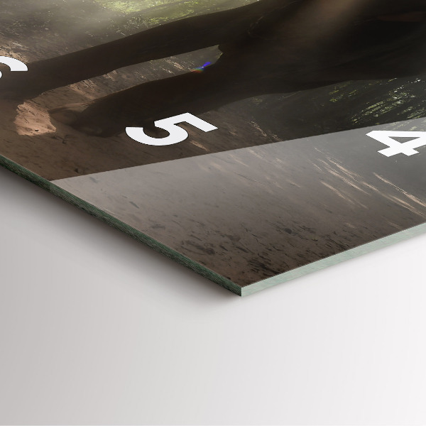 Horloge murale carrée Éléphant dans la jungle