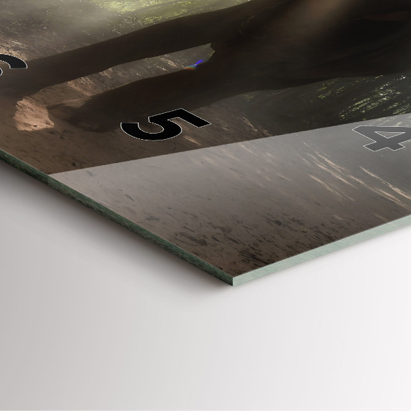 Horloge murale carrée Éléphant dans la jungle