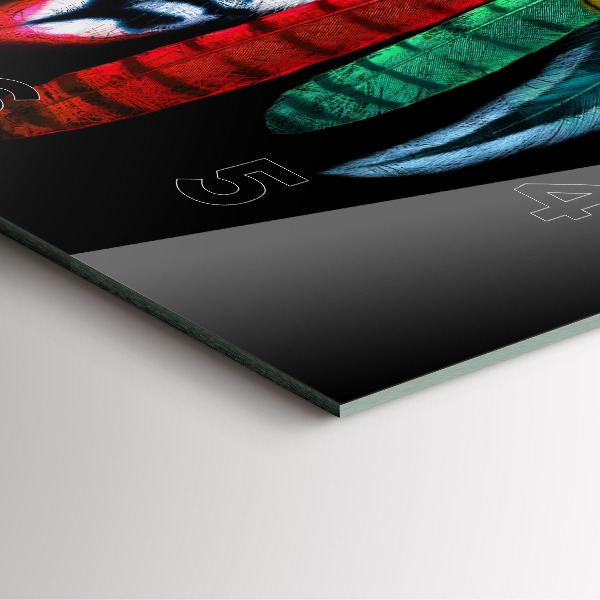 Horloge murale carrée 'Plumes d''oiseaux colorées'