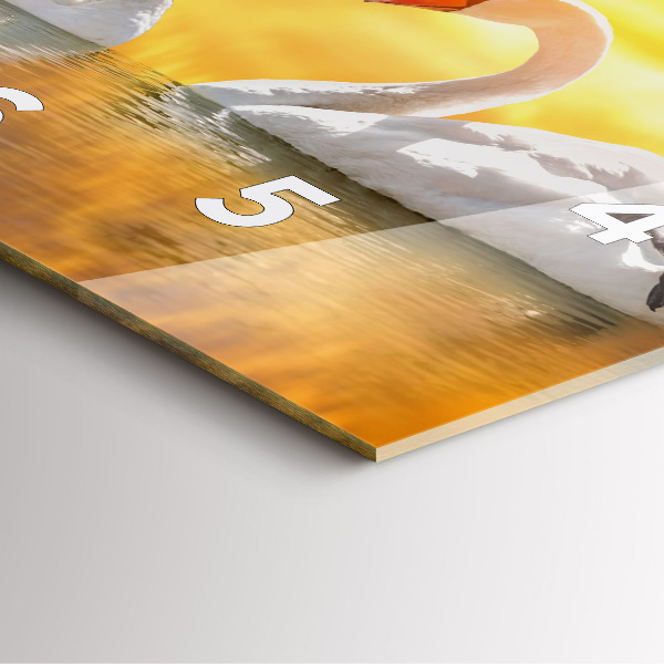 Horloge murale carrée Cygnes amoureux