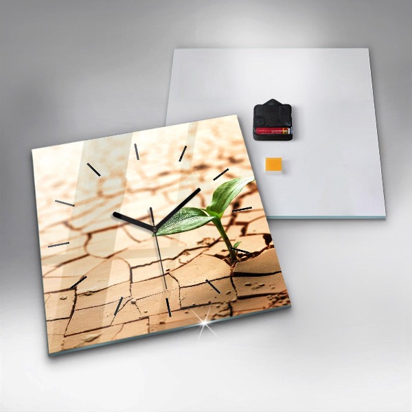 Horloge murale carrée Planter dans un sol sec
