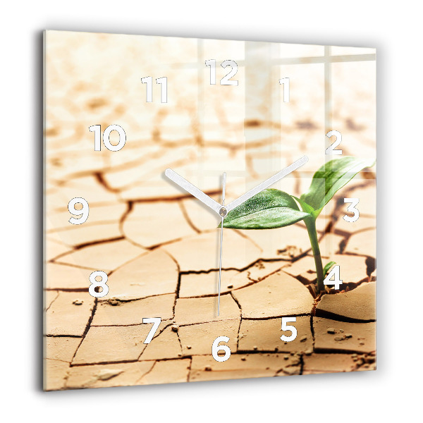 Horloge murale carrée Planter dans un sol sec