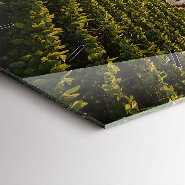 Horloge murale carrée Tracteur dans un champ agricole