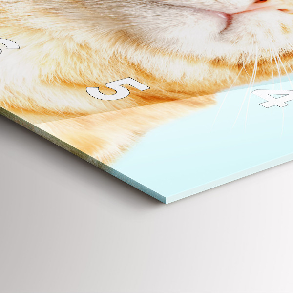 Pendule carrée en verre Chat drôle avec des lunettes