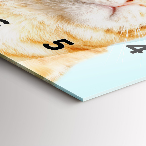 Pendule carrée en verre Chat drôle avec des lunettes