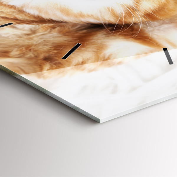 Horloge murale carrée Petit chaton endormi