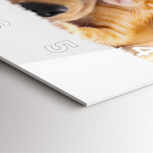 Pendule carrée en verre Chat et chien endormis