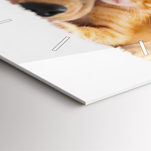 Pendule carrée en verre Chat et chien endormis