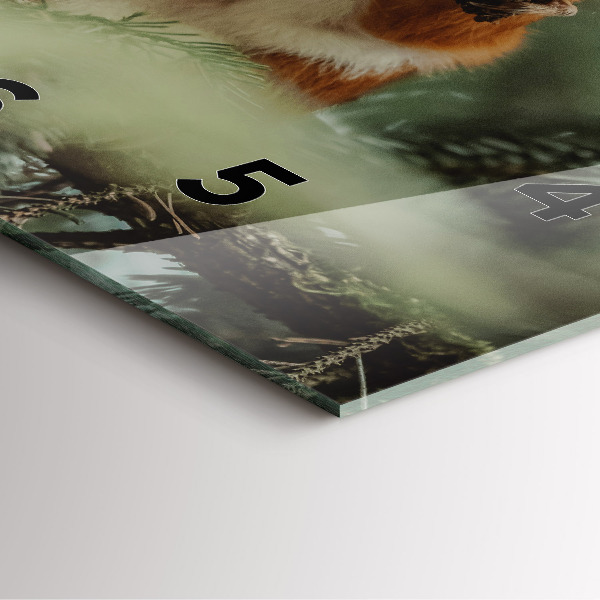 Horloge murale carrée 'L''écureuil et la nature sauvage'