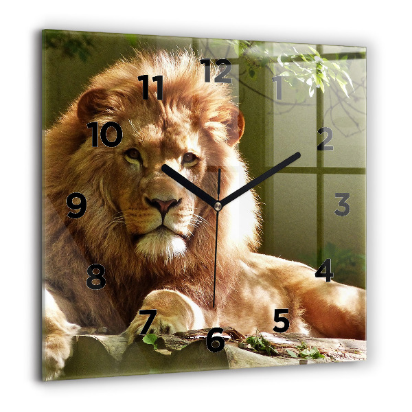 Horloge murale carrée 'Portrait d''un lion'