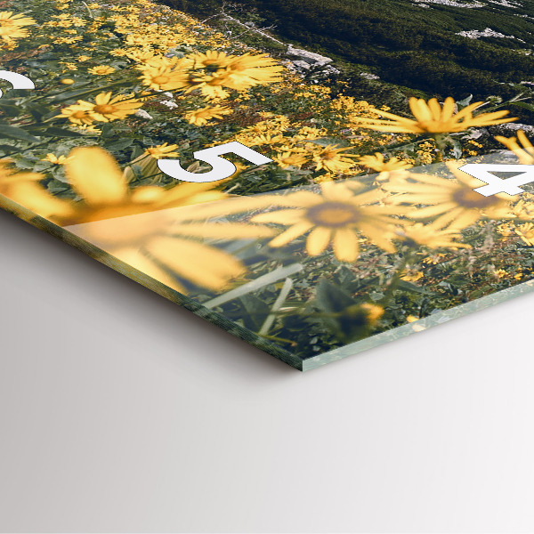 Horloge murale carrée Fleurs des prés dans les montagnes