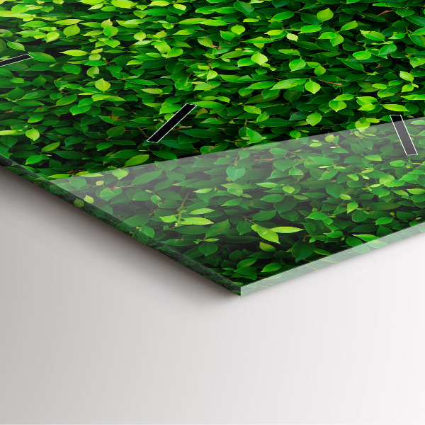 Pendule carrée en verre feuilles de haie