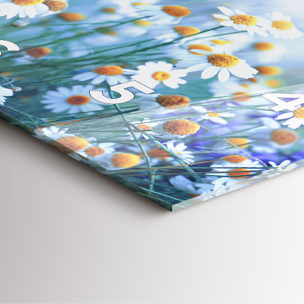 Pendule carrée en verre Papillon dans la prairie